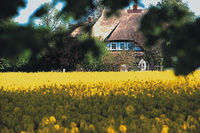 08_reethaus_mit_raps