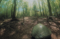 12_opferstein_stubnitz